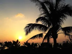 特攻隊員の方の遺書