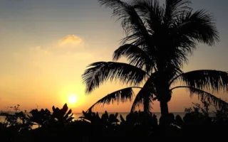 特攻隊員の方の遺書