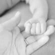 赤ちゃんの手を握る母の手