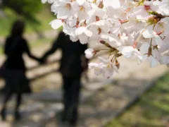 君への罪滅ぼし