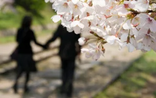 君への罪滅ぼし