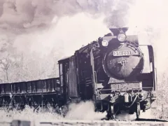 まるで紙吹雪のように