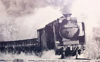 まるで紙吹雪のように