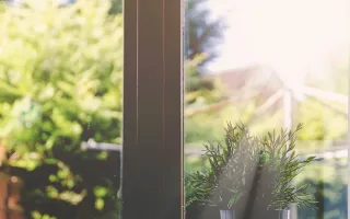 病院の窓辺から