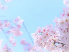 天国のおじいちゃんより