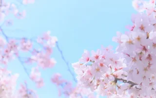 天国のおじいちゃんより