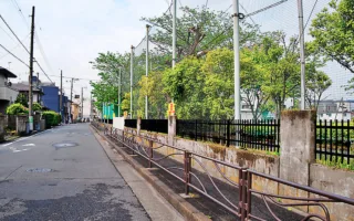 私を育ててくれた母