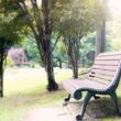 公園のベンチ（フリー写真）