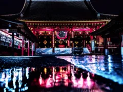 母の秘密の願い