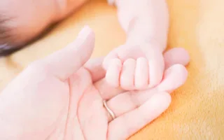 あのハンバーグの味