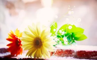 未読のメッセージ