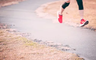 継承されるタスキ