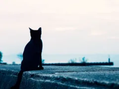 小さな隊長たち