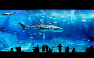 忘れられない君への手紙