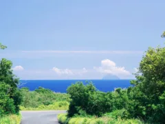 あの日の下り坂