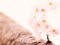 母の愛、娘の成長