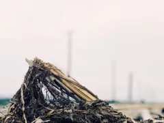 災害の中での希望と絶望