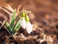 一緒に最後まで