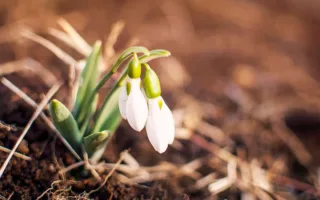 一緒に最後まで
