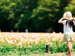 天に向かっての約束