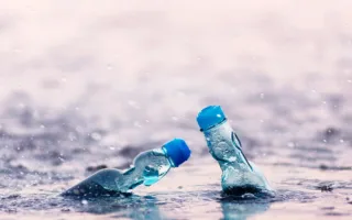 愛する人への別れ