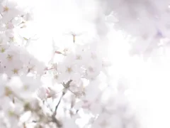 後悔のないように