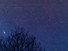 天国でも携帯が