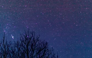 天国でも携帯が