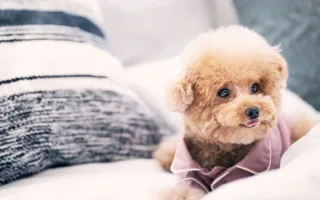 隅っこの守護者