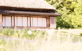 最後まで泣けなくて