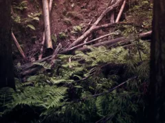 失われた愛と再生