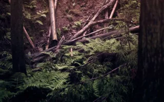 失われた愛と再生