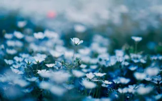 父の最期と再会