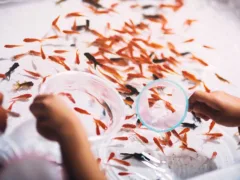 思いやりと妹への愛情