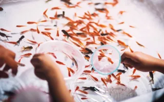 思いやりと妹への愛情