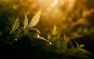 やさしさに感激