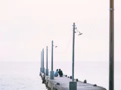 光の中での再会