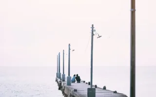 光の中での再会