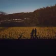 残された日記