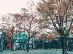 君のための手話