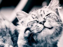 背中のぬくもり