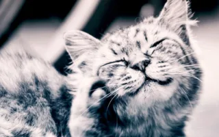 背中のぬくもり