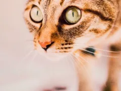 最期に選んだ場所