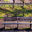 公園