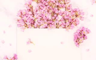 パパ、本当にありがとう