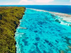 背中を押してくれた人