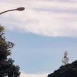 生かされた命