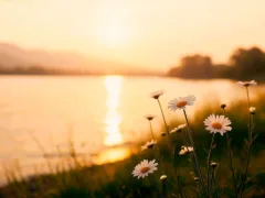 中学時代の忘れられない記憶