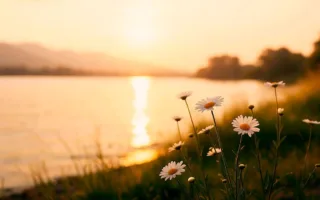 中学時代の忘れられない記憶