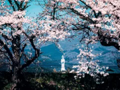 母が綴った愛のかたち